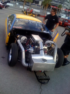 John Mihovetz Cougar